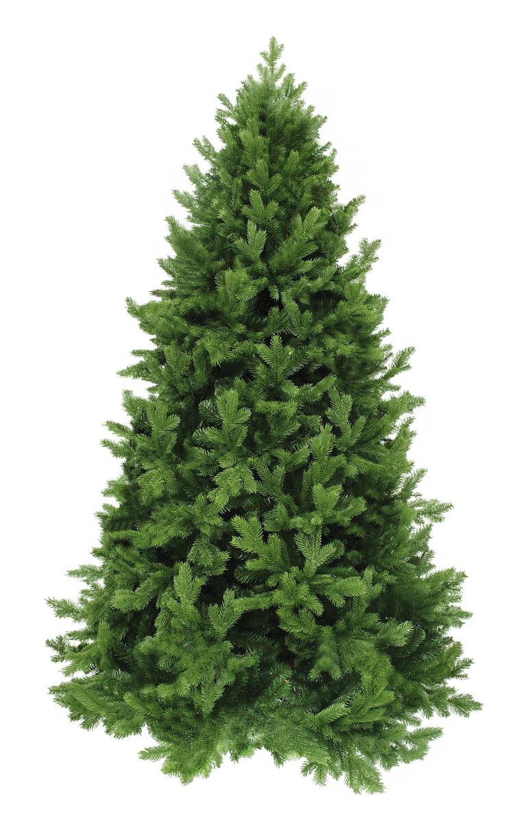 Ель искусственная Triumph Tree Царская, цвет: зеленый, высота 185 смHJT06-30CM Ель искусственная Triumph Tree Царская, цвет: зеленый, высота 185 смHJT06-30CMОсновной материал изготовления веток елки Царская - полиэтилен (PE); внутренний (скрытый) слой содержит ветки из ПВХ материала. Елки из полиэтилена (PE) относятся к новому поколению так называемых – литых елок (часто еще такие елки ошибочно называют резиновые, хотя на самом деле этот материал - не что иное, как мягкий и приятный на ощупь полиэтилен). Каждая веточка из полиэтилена (PE) отливается в специальных формах, что делает елку похожей - на настоящую.