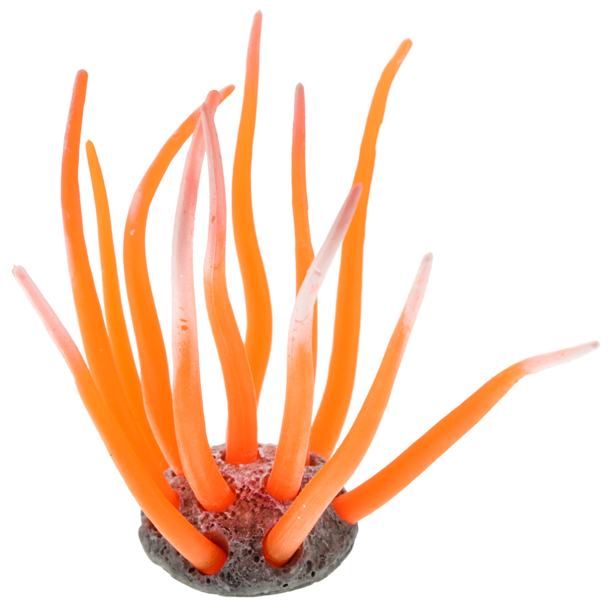 Декорация для аквариума Barbus Коралл, силиконовая, 4,5 х 4,5 х 10 см0120710 Декорация для аквариума Barbus Коралл, силиконовая, 4,5 х 4,5 х 10 см0120710Декорация для аквариума Barbus Коралл, выполненная из высококачественного силикона, станет оригинальным украшением вашего аквариума. Изделие отличается реалистичным исполнением, в воде создается полная имитация настоящего коралла. Декорация абсолютно безопасна, нейтральна к водному балансу, устойчива к истиранию краски, не токсична, подходит как для пресноводного, так и для морского аквариума. Благодаря декорациям Barbus вы сможете смоделировать потрясающий пейзаж на дне вашего аквариума.