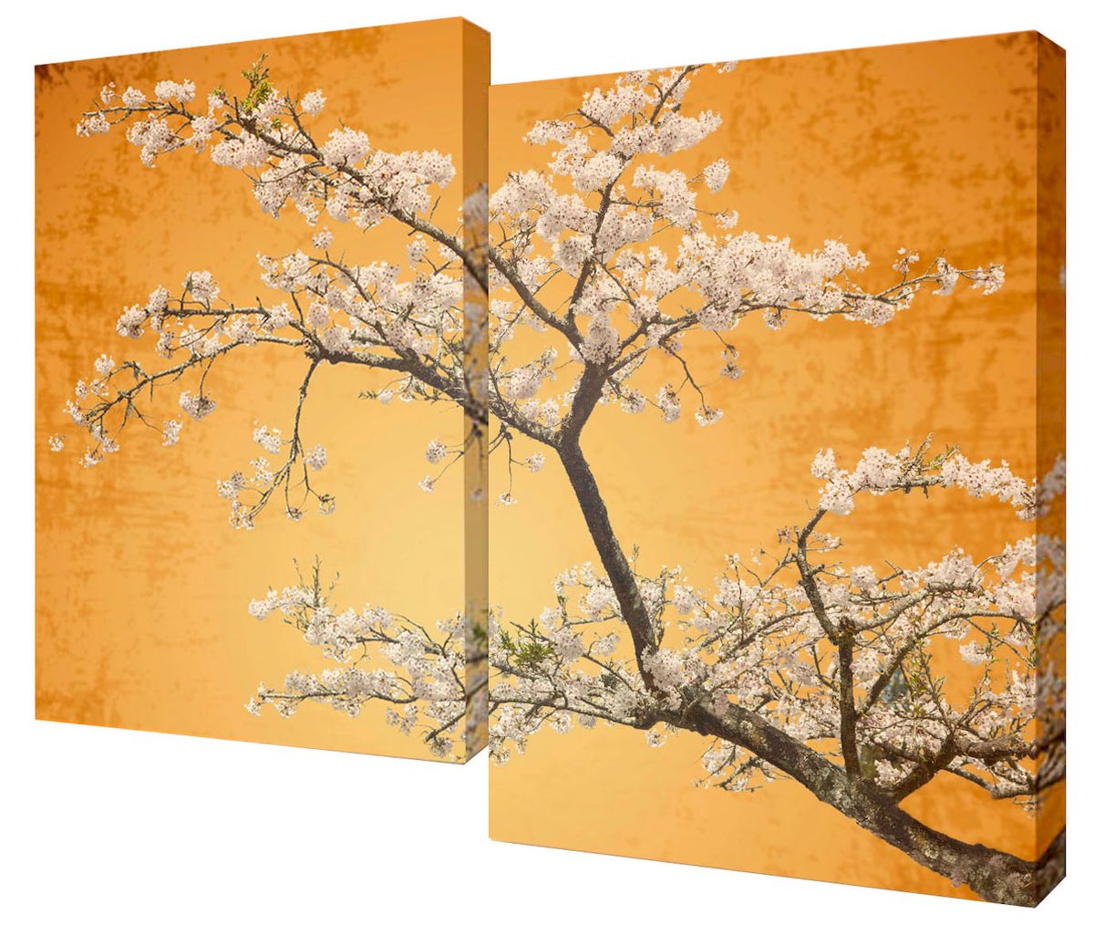 Картина модульная Toplight Природа, 100 х 70 см. TL-M2052AL-022 Картина модульная Toplight Природа, 100 х 70 см. TL-M2052AL-022Модульная картина Toplight Природа выполнена из синтетического полотна, подрамник из МДФ. Картина состоит из двух частей и выглядит очень аккуратно и эстетично благодаря такому способу оформления как галерейная натяжка. Подрамник исключает провисание полотна. Современные технологии, уникальное оборудование и цифровая печать, используемые в производстве, делают постер устойчивым к выцветанию и обеспечивают исключительное качество произведений. Благодаря наличию необходимых креплений в комплекте установка не займет много времени. Модульная картина - это прекрасная возможность создать яркий акцент при оформлении любого помещения. Изделие обязательно привлечет внимание и подарит немало приятных впечатлений своим обладателям. Правила ухода: можно протирать сухой, мягкой тканью. Рекомендованное расстояние между сегментами: 2 см. Толщина подрамника: 3 см.