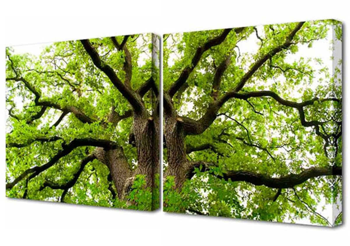 Картина модульная Toplight Природа, 100 х 50 см. TL-M202941616 Картина модульная Toplight Природа, 100 х 50 см. TL-M202941616Модульная картина Toplight Природа выполнена из синтетического полотна, подрамник из МДФ. Картина состоит из двух частей и выглядит очень аккуратно и эстетично благодаря такому способу оформления как галерейная натяжка. Подрамник исключает провисание полотна. Современные технологии, уникальное оборудование и цифровая печать, используемые в производстве, делают постер устойчивым к выцветанию и обеспечивают исключительное качество произведений. Благодаря наличию необходимых креплений в комплекте установка не займет много времени. Модульная картина - это прекрасная возможность создать яркий акцент при оформлении любого помещения. Изделие обязательно привлечет внимание и подарит немало приятных впечатлений своим обладателям. Правила ухода: можно протирать сухой, мягкой тканью. Рекомендованное расстояние между сегментами: 2 см. Толщина подрамника: 3 см.