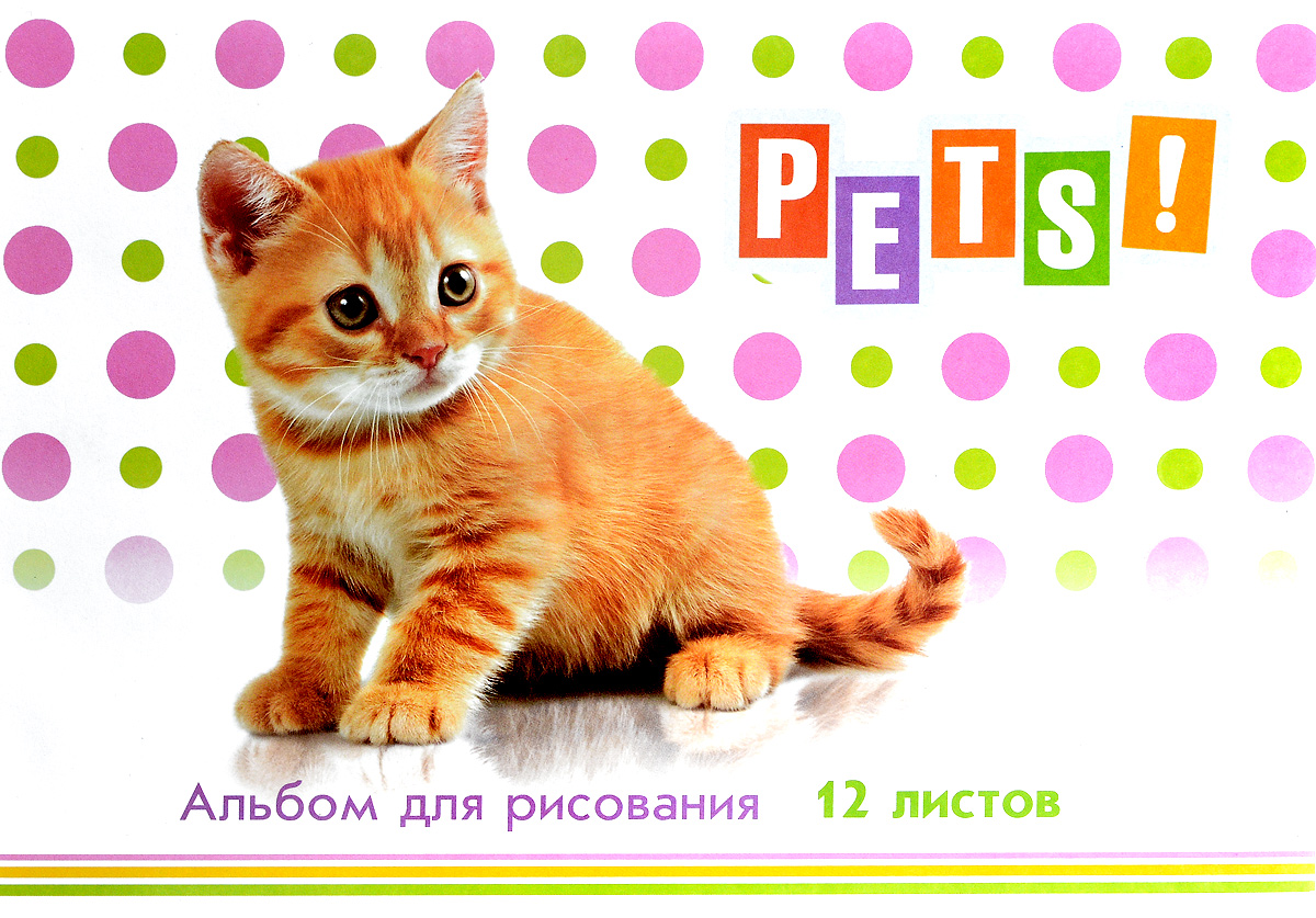 ArtSpace Альбом для рисования Питомцы Pets 12 листов72523WD ArtSpace Альбом для рисования Питомцы Pets 12 листов72523WDАльбом для рисования ArtSpace Питомцы. Pets непременно порадует маленького художника и вдохновит его на творчество.Высокое качество бумаги позволяет карандашам, фломастерам и краскам ровно ложиться на поверхность и не растекаться по листу. Способ крепления - скрепки. В альбоме 12 листов.Во время рисования совершенствуется ассоциативное, аналитическое и творческое мышления. Занимаясь изобразительным творчеством, ребенок тренирует мелкую моторику рук, становится более усидчивым и спокойным и, конечно, приобщается к общечеловеческой культуре.