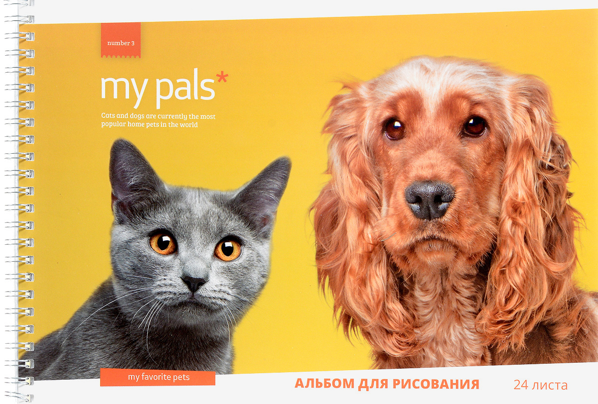 ArtSpace Альбом для рисования Питомцы My Pals 24 листа72523WD ArtSpace Альбом для рисования Питомцы My Pals 24 листа72523WDАльбом для рисования ArtSpace Питомцы. My Pals будет вдохновлять ребенка на творческий процесс.Альбом изготовлен из белоснежной бумаги с яркой обложкой из плотного картона, оформленной изображением милых мордашек собачки и кошечки. Внутренний блок альбома состоит из 24 листов бумаги. Способ крепления - гребень.Высокое качество бумаги позволяет рисовать в альбоме карандашами, фломастерами, акварельными и гуашевыми красками.Во время рисования совершенствуются ассоциативное, аналитическое и творческое мышления. Занимаясь изобразительным творчеством, малыш тренирует мелкую моторику рук, становится более усидчивым и спокойным.