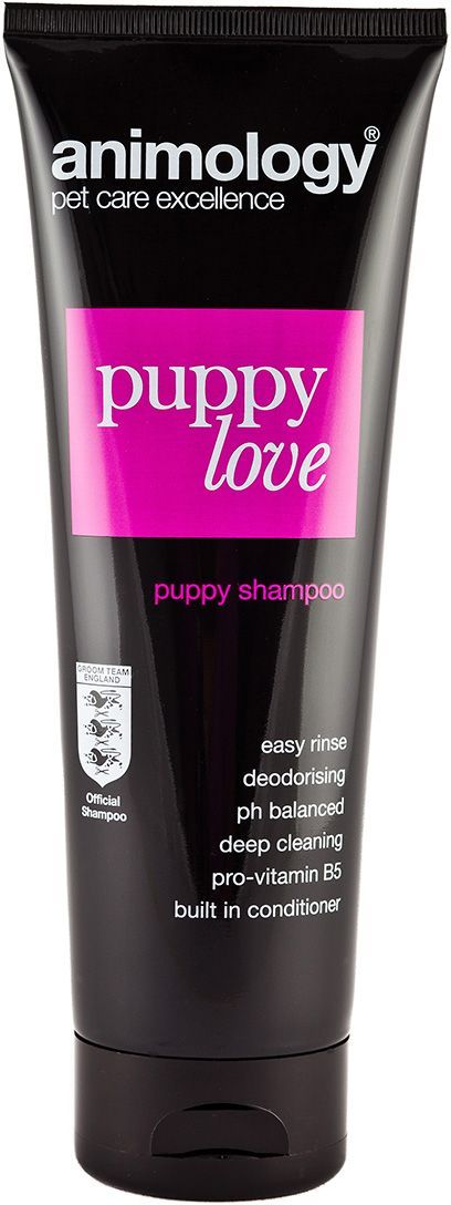 Шампунь-кондиционер Animology Puppy Love концентрированный, для щенков, 250 млPP746 Шампунь-кондиционер Animology Puppy Love концентрированный, для щенков, 250 млPP746Шампунь Animology Puppy Love (Паппи Лав) был разработан специально для щенков. Уникальная формула шампуня позволяет его использовать для щенков с 6 недель от рождения!Подходит для ежедневного мытья щенят всех пород. Он бережно и глубоко очищает грязь и устраняет неприятный запах, не нарушая кожно-волосяной покров и не смывает естественный жировой слой щенка.Этот шампунь изготовлен с использованием новой технологии ‘EASY RINSE’ (что дословно переводится как лёгкое смывание). Эта технология сводит к минимуму время мытья животного, содержание Кондиционера и Про-Витамина В5 улучшает здоровье, эластичность и состояние шерсти животного.Animology Puppy Love придаст Вашему малышу аромат чистоты. Щенок будет приятно пахнуть и шерсть будет в прекрасном состоянии.Глубокое очищениеpH сбалансированНе смывает естественный жировой слойДезодорируетСодержит кондиционерСодержит про-витамин B5Технология easy rinse (легкое смывание)Инструкция по применениюРазведите шампунь с водой (например в тазике) в пропорции 1 часть шампуня к 15 частям воды.Намочите собаку тёплой водой, нанесите разбавленный шампунь на тело животного массирующими движениями рук, для лучшего результата мойте собаку приблизительно 5 минут. Затем смойте шампунь тёплой водой. Если Ваше животное очень грязное, то при необходимости Вы можете повторить эту процедуру. После мытья высушите собаку полотенцем или феном.Избегайте попадания шампуня в глаза, уши и нос. Если это произошло, то промойте водой.Примечание: ANIMOLOGY PUPPY LOVE ‘PROFESSIONAL’ – это профессиональный концентрированный шампунь, который должен быть разведён непосредственно перед мытьём собаки. Срок хранения разведённого шампуня не должен превышать 24 часов.Если Вы - ГРУММЕР или Вы занимаетесь разведением собак, то шампунь Animology Puppy Love так же доступен в ёмкости 5 литров и также разводится 1:15,