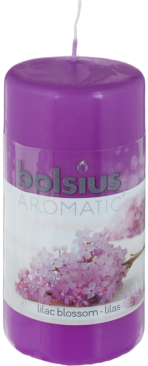 Свеча ароматическая Bolsius Сирень, 6 х 6 х 11,5 смRG-D31S Свеча ароматическая Bolsius Сирень, 6 х 6 х 11,5 смRG-D31SСвеча ароматическая Bolsius Сирень создаст в доме атмосферу тепла и уюта. Свеча приятно смотрится в интерьере, она безопасна и удобна в использовании. Свеча создаст приятное мерцание, а сладкий манящий аромат окутает вас и подарит приятные ощущения.