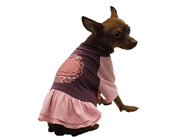 Ïëàòüå äëÿ ñîáàê Êàñêàä Pink, öâåò: ôèîëåòîâûé, ðîçîâûé. Ðàçìåð M0120710 Ïëàòüå äëÿ ñîáàê Êàñêàä Pink, öâåò: ôèîëåòîâûé, ðîçîâûé. Ðàçìåð M0120710Ïëàòüå äëÿ ñîáàê Êàñêàä ñ ïûøíîé þáî÷êîé îòëè÷íî ïîäîéäåò äëÿ ïðîãóëîê â ñóõóþ ïîãîäó èëè äëÿ äîìà. Ïëàòüå èìååò äëèííûå ðóêàâà ñâîáîäíîãî êðîÿ, êîòîðûå íå îãðàíè÷èâàþò ñâîáîäó äâèæåíèé, ïîýòîìó ñîáà÷êà áóäåò ÷óâñòâîâàòü ñåáÿ â íåì êîìôîðòíî. Ñïèíêà ìîäåëè óêðàøåíà óçîðàìè, íèç äîïîëíåí îáîðêàìè.Ìîäíîå è óäîáíîå ïëàòüå ñîãðååò âàøåãî ïèòîìöà âî âðåìÿ ïðîãóëîê è çàùèòèò îò ïûëè è íàñåêîìûõ.Äëèíà ïî ñïèíêå: 25 ñì.