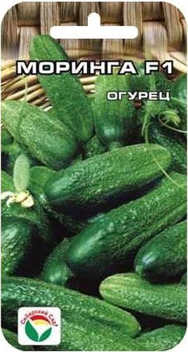 Семена Сибирский сад Огурец. МорингаBH-SI0439-WW Семена Сибирский сад Огурец. МорингаBH-SI0439-WWРаннеспелый самоопыляемый гибрид. Растения среднеплетистые, устойчивы к комплексу заболеваний. Плоды мелкобугорчатые, ярко-зеленые, длиной 8-10см.