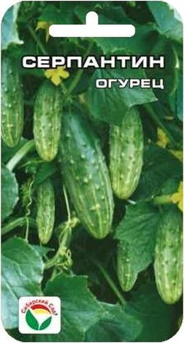 Семена Сибирский сад Огурец. Серпантин, 15 штSS 4041 Семена Сибирский сад Огурец. Серпантин, 15 штSS 4041Ранний урожайный сорт для выращивания в открытом грунте и временных пленочных укрытиях. В плодоношение вступает на 36-38 день от всходов. Растение короткоплетистое, кустового типа. Зеленцы красивые, некрупные, средней массой 75-82 г. Имеют хорошие вкусовые качества в свежем и соленом виде. Сорт устойчив к комплексу основных болезней, неприхотлив к агротехнике и экологическим условиям. Хорошо переносит засуху. Обладает высокой интенсивностью отдачи раннего урожая. Полив и подкормка органическими и минеральными удобрениями в процессе вегетации.Для ускорения процесса всхожести семян, оздоровления растений, улучшения завязываемости плодов рекомендуется пользоваться специально разработанными стимуляторами роста и развития растений.