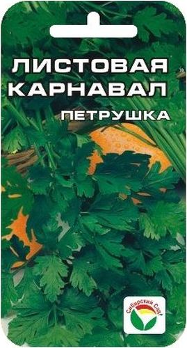 Семена Сибирский сад Петрушка. Карнавал, 1 гCAD300UBEC Семена Сибирский сад Петрушка. Карнавал, 1 гCAD300UBECСреднеспелый высокоурожайный сорт. Дает мощную зеленую розетку. Листья крупные, ярко-зеленые, нежные, сочные, ароматные, с комплексом витаминов, эфирных масел и минеральных солей. Сорт зимостойкий, быстро отрастает после срезки. Рекомендуется для употребления в свежем, сушеном и замороженном виде. Используют в домашней кулинарии как приправу, добавляют в соленья и маринады. Сеют петрушку весной и летом на глубину 1-1,5 см.