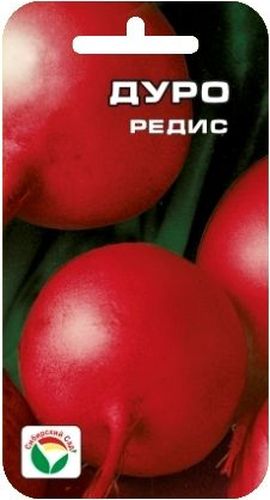 Семена Сибирский сад Редис. Дуро (суперкрупный), 2 г12727 Семена Сибирский сад Редис. Дуро (суперкрупный), 2 г12727Раннеспелый суперкрупный сорт редиса (срок 20-25 дней). Корнеплоды розово-красные, диаметром до 10 см. Мякоть белая, сочная, сладкая, слабоострого вкуса. Сорт не склонен к цветушности, отличается стабильной урожайностью, способностью длительное время сохранять товарные качества плодов. Посев производят с ранней весны до конца августа на глубину 1-2 см по схеме 7х7 см. Для ускорения процесса всхожести семян, оздоровления растений, улучшения завязываемости плодов рекомендуется использовать специально разработанные стимуляторы роста и развития растений.Вес: 2 г.