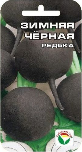 Семена Сибирский сад Редька. Зимняя черная, 1 гBH-SI0439-WW Семена Сибирский сад Редька. Зимняя черная, 1 гBH-SI0439-WWСорт среднеспелый, период от полных всходов до технической спелости 70-93 дня. Корнеплод черный, плоскоокруглый или округлый, длиной 9-11 см, диаметром 8-12 см. Поверхность гладкая или слегка бороздчатая. Мякоть белая, плотная, сочная, остро-сладкого вкуса. Корнеплод погружен в почву полностью. Выдергивается хорошо. Масса корнеплода 248-550 г. Лежкость в период зимнего хранения хорошая 86-98%. Урожайность - 700 г с 1 м2. Сорт районирован повсеместно.