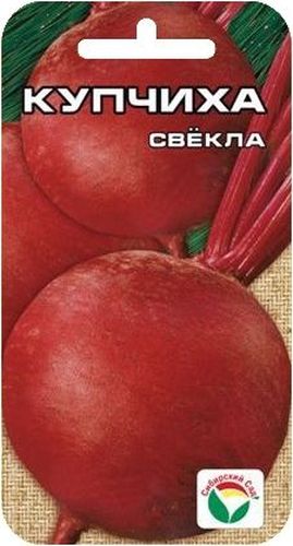 Семена Сибирский сад Свекла. Купчиха, 2 г12727 Семена Сибирский сад Свекла. Купчиха, 2 г12727Новый сорт свеклы. Адаптивные способности сорта - его преимущества в формировании высокопродуктивных растений, способных противостоять неблагоприятным факторам обитания. Сорт характеризуется высокой выровненностью корнеплодов округлой формы с равномерно окрашенной темно-бордовой мякотью. Вкус нежный, сладкий, приятный. Легко и быстро вариться. Прекрасно сохраняется до формирования нового урожая (от осени до осени). Требует прореживания в начальный период роста до 20-25 штук на 1 м2 или изначально верного подбора нормы посева семенного материала.Для ускорения процесса всхожести семян, оздоровления растений, улучшения завязываемости плодов рекомендуется пользоваться специально разработанными стимуляторами роста и развития растений.