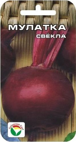 Семена Сибирский сад Свекла. Мулатка, 2 г10498 Семена Сибирский сад Свекла. Мулатка, 2 г10498Среднеспелый высокоурожайный сорт (от всходов до уборки корнеплодов 125-130 дней). Формирует темно-красные гладкие корнеплоды округлой формы, массой 160-360 г. Мякоть сочная, вкусная, нежная, без кольцеватости. Выращивается повсеместно. Отличается высокой лежкоспособностью при зимнем хранении. Семена высевают в грунт в мае на глубину 2-4 см в рядки с междурядьями 25-30 см и расстоянием между семенами 8-10 см.Вес: 2 г.