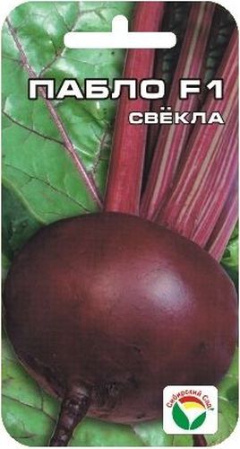 Семена Сибирский сад Свекла. Пабло F1SS 4041 Семена Сибирский сад Свекла. Пабло F1SS 4041Суперпопулярный скороспелый гибрид. Корнеплоды округлые, выровненные, 10-15см в диаметре, с гладкой поверхностью и тонкой кожицей, массой 200 - 300 гр.