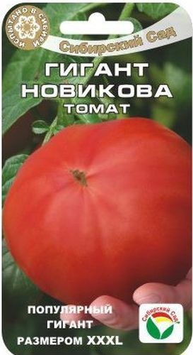 Семена Сибирский сад Томат. Гигант Новикова, 20 штBH-SI0439-WW Семена Сибирский сад Томат. Гигант Новикова, 20 штBH-SI0439-WWШироко известный индетерминантный сорт российской селекции среднераннего срока созревания. Популярен благодаря крупным, очень вкусным мясистым плодам и гарантированно высокой урожайности сорта. Рекомендуется для выращивания в теплицах. Плоды салатного типа, с большим количеством мякоти, используются в свежем виде и для приготовления соков и соусов. Растение высотой до 2 м. В каждом соцветии формируется 4-6 плодов. Плоды огромные, плоскоокруглые, розовые с малиновым опенком, многокамерные, плотные. Средняя масса 500-600 г, но встречаются гиганты весом до 1,5 кг. Мякоть томатов сахаристая, сладкая, с кислинкой и нежным ароматом. Плоды неплохо хранятся. Урожайность сорта достигает 5-6 кг с растения.Сорт требует подвязки и пасынкования, желательно проводить нормировку двух нижних соцветий, оставляя на них не более 4 завязей. Усиленные подкормки минеральными удобрениями положительно сказываются на урожайности сорта.При необходимости защиты от фитофтороза и альтернариоза рекомендуется проводить профилактические обработки томатов. Первое опрыскивание - в стадии 6 настоящих листьев, последующие - с интервалом 7-10 дней, но не позднее 20 дней до начала сбора плодов.