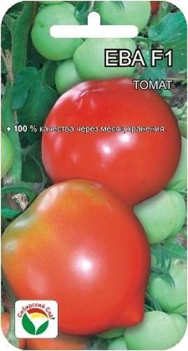 Семена Сибирский сад Томат. Ева, 15 штBH-SI0439-WW Семена Сибирский сад Томат. Ева, 15 штBH-SI0439-WWОчень урожайный гибрид для получения ранней продукции высокого качества в открытом и защищенном грунте. Период от всходов до созревания всего 95-100 дней. Растение среднеоблиственное, невысокое, около 1 м. Первая кисть закладывается над 5-6 листом, последующие через 1-2 листа. В каждой кисти по 5-6 довольно крупных ярко-красных плодов массой до 180 г. Томаты привлекательны по форме - округлые с носиком, кроме того очень плотные и транспортабельные. Сохранность плодов после месяца хранения в нерегулируемых условиях составляет 96-100%. Выход стандартных плодов 99%, урожайность за первых два сбора- 5,5 кг/м2, на конец учетов 19 кг/м2, хорошо отрастает. Гибрид устойчив к альтернаирозу и вирусу табачной мозаики. Потенциальная урожайность 22-23 кг/м2.Посев на рассаду производят за 50-60 дней до высадки растений на постоянное место. При высадке в грунт на 1 м2 размещают 3 растения. Гибрид отзывчив на внесение удобрений и технологию возделывания. Выращивается в 1-2 стебля с подвязкой и пасынкованием.Для ускорения процесса всхожести семян, оздоровления растений, улучшения завязываемости плодов рекомендуется пользоваться специально разработанными стимуляторами роста и развития растений.