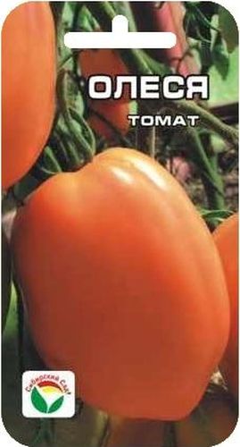 Семена Сибирский сад Томат. Олеся, 20 штBH-SI0439-WW Семена Сибирский сад Томат. Олеся, 20 штBH-SI0439-WWСреднеранний сорт сибирской селекции для пленочных укрытий и теплиц. Растение высотой 1,5-2 м, формирует красивые кисти с 4-5 крупными оранжевыми плодами сливовидно-овальной формы, массой до 250-300 г. Томаты обладают сладким вкусом, по цвету и высокому содержанию каротина сок из плодов напоминает абрикосовый, полезен детям. Плоды очень плотные, прекрасно консервируются, хороши в летних салатах. Урожайность до 8-10 кг/м2. При высадке в грунт на 1 м2 размещают 3 растения. Формируется в 1-2 стебля с пасынкованием и подвязкой.
