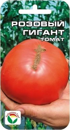 Семена Сибирский сад Томат. Розовый гигант, 20 шт10498 Семена Сибирский сад Томат. Розовый гигант, 20 шт10498Великолепный среднеранний крупноплодный сорт с розовыми плодами. От всходов до начала плодоношения 115-125 дней. Растение среднерослое, высотой 150-170 см. В соцветиях формируется до 6 плоско-округлых плодов массой до 400 г. Вкусовые качества свежих плодов отличные, обеспечат бесподобный вкус летних свежих салатов и соков. Урожайность до 7 кг с 1 м2. Посев на рассаду производят за 50-60 дней до высадки растений на постоянное место. Оптимальная постоянная температура прорастания семян 23-25°С. При высадке в грунт на 1 м2 размещают 3 растения. Формируется в 1 стебель, с пасынкованием и подвязкой. Сорт хорошо реагирует на полив и подкормки комплексными минеральными удобрениями. Для ускорения процесса всхожести семян, оздоровления растений, улучшения завязываемости плодов рекомендуется пользоваться специально разработанными стимуляторами роста и развития растений.