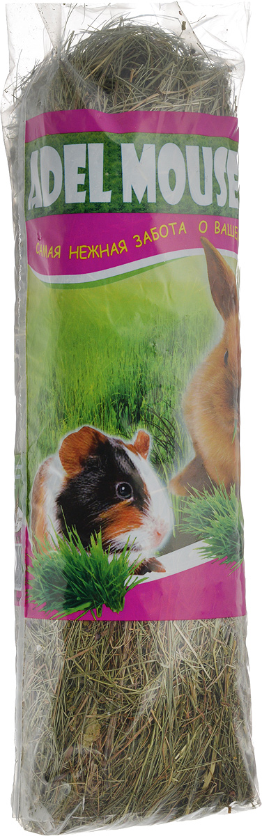 Сено Adel Mouse Разнотравье луговое, 20 л0120710 Сено Adel Mouse Разнотравье луговое, 20 л0120710Сено Adel Mouse Разнотравье луговое - сбор луговых трав, 100% натуральный продукт. Разнотравье лугового сена является гигиенической подстилкой, состоящей из высушенных стеблей тщательно отобранных луговых трав с содержанием большого количества клетчатки, что стимулирует пищеварение и защиту зубов у кроликов и травоядных грызунов. Высокое качество данной продукции достигается с помощью нескольких стадий обработки сырья.