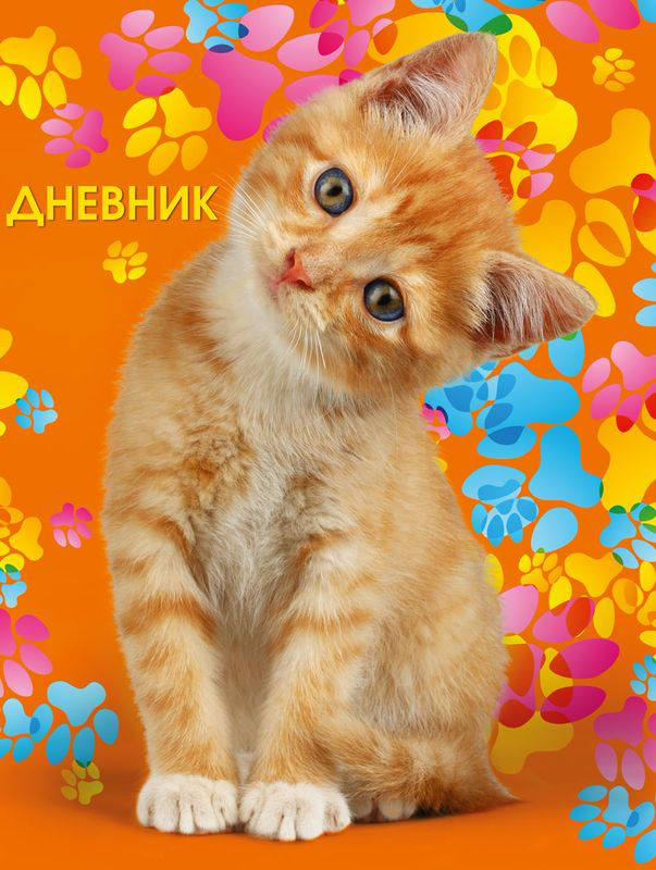 Бриз Дневник школьный Котенок72523WD Бриз Дневник школьный Котенок72523WDУниверсальный школьный дневник для учеников общеобразовательной школы содержит 80 страниц. Шестидневная рабочая неделя, 8 строк для предметов на каждый день. Твердая обложка покрытая глянцевой пленкой. Внутренний блок состоит из офсетной бумаги плотностью 60 г/кв.м.(печать в одну краску) Цвет бумаги - белый.