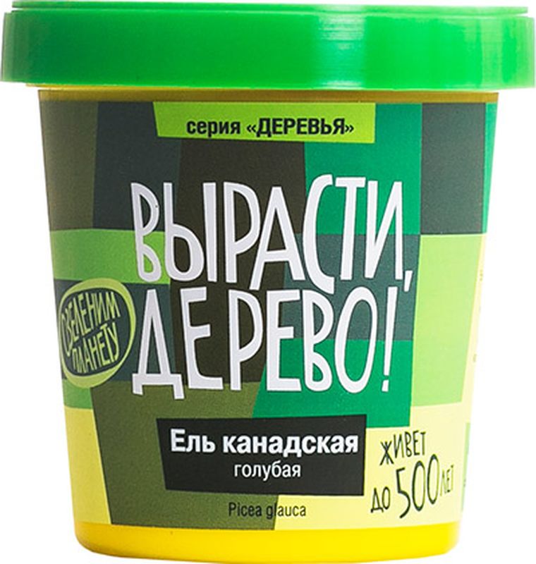 Набор для выращивания растений Вырасти, Дерево! Деревья. Ель канадская голубаяzk-048 Набор для выращивания растений Вырасти, Дерево! Деревья. Ель канадская голубаяzk-048Состав:• Пластиковый горшок с крышкой объемом 0,5 литра• Крышка — поддон для избытка влаги• Семена• Плодородный грунт (PH=6-7), его хватит на первые 1-2 года• Керамзит для дренажаИнструкция1. Поместите семена на крышку – поддон и замочите их водой комнатной температуры на 3 дня, не забывая менять воду 1 раз в сутки. После замачивания переместите семена на чистую поверхность и слейте воду, освободив крышку-поддон.2. Пересыпьте керамзит на дно пластикового горшка, а сверху насыпьте плодородный грунт, оставив в пакете небольшое количество земли.3. Поставьте горшок на крышку-поддон. Избыток воды при поливе через дренажные отверстия в горшке будет скапливаться на крышке.4. Обильно полейте землю водой комнатной температуры.5. Равномерно распределите семена по поверхности грунта.6. Присыпьте семена слоем плодородного грунта (3-5 мм).7. Обильно полейте водой комнатной температуры и накройте прозрачным полиэтиленом, проветривая 1 раз в день.8. Постоянно поддерживайте плодородный грунт во влажном состоянии (полив 2-3 раза в неделю). В период прорастания семян лучше использовать пульверизатор.9. Выберете хорошо освещенное солнцем место для вашего питомца. Идеально подойдет подоконник не с южной стороны, чтобы исключить длительное прямое попадание солнечных лучей. Оптимальный температурный режим 20-25 °С.10. Наберитесь терпения, всходы появятся в течение 7-30 дней. После появления всходов снимите полиэтилен.11. Через 1-2 года, не более, окрепшее растение посадите в городском дворе или на дачном участке, и наша планета станет на одно дерево краше!Общие характеристикиЕль канадская, также ель сизая, ель белая — вечнозеленое хвойное дерево, высотой 15—30 м, редко до 40 метров. Диаметр ствола — до 1 метра. Происходит из Северной Америки. Культивируется как декоративное растение.Кора тонкая, чешуйчатая. Крона узко-коническая у молодых деревьев, у старых деревьев становится цилиндрической. Хвоя длиной 12—20 мм, ромбической формы в сечении, сине-зеленая сверху и сине-белая снизу, при растирании напоминает запах черной смородины.Шишки слабо цилиндрические, длиной 3—7 см и шириной до 2,5 см. Цвет шишек зеленый или красноватый, зрелая шишка коричневая. Семена черные, длиной 2—3 мм с со светло-коричневым крылом длиной 5—8 мРекомендуется для одиночных и групповых посадок. Успешно растет как в морском, так и континентальном климате. Достаточно засухоустойчива. Не требовательна к почвам, хорошо противостоит ветрам.
