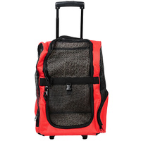 Поговорим о Кошках 24