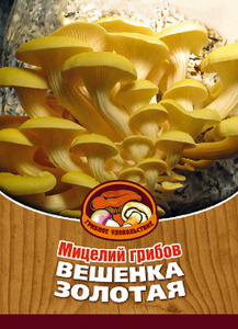 Мицелий грибов "Вешенка золотая", 16 древесных палочек - купить по выгодной цене с доставкой. Товары для сада и загородного дома от Грибное удовольствие в интернет-магазине OZON.ru