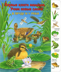 В пруду и у реки