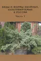 Виды и формы хвойных, культивируемые в России. Часть 1