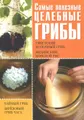 Самые полезные целебные грибы. Тибетский молочный гриб. Индийский морской гриб. Чайный гриб. Березовый гриб чага