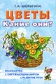 Цветы. Какие они?