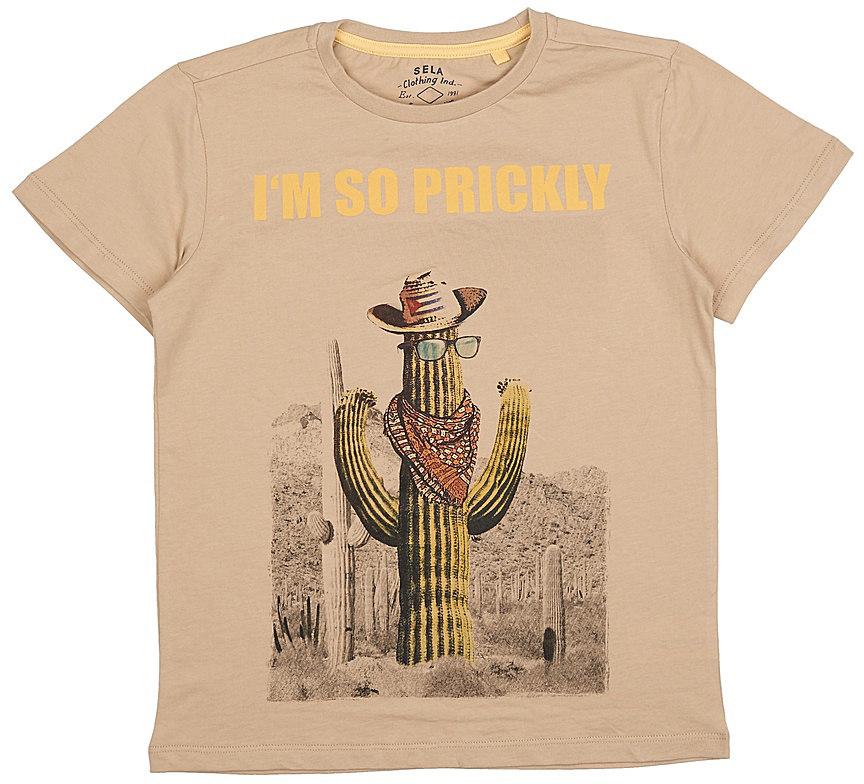 Футболка для мальчика Sela, цвет: песочный. Ts-811/583-7214. Размер 128Ts-811/583-7214 Футболка для мальчика Sela, цвет: песочный. Ts-811/583-7214. Размер 128Ts-811/583-7214Модная футболка для мальчика Sela выполнена из натурального хлопка и оформлена оригинальным принтом. Модель прямого кроя подойдет для прогулок и дружеских встреч и будет отлично сочетаться с джинсами и брюками. Воротник изделия дополнен мягкой трикотажной резинкой.Мягкая ткань комфортна и приятна на ощупь. Яркий цвет модели позволяет создавать стильные образы.