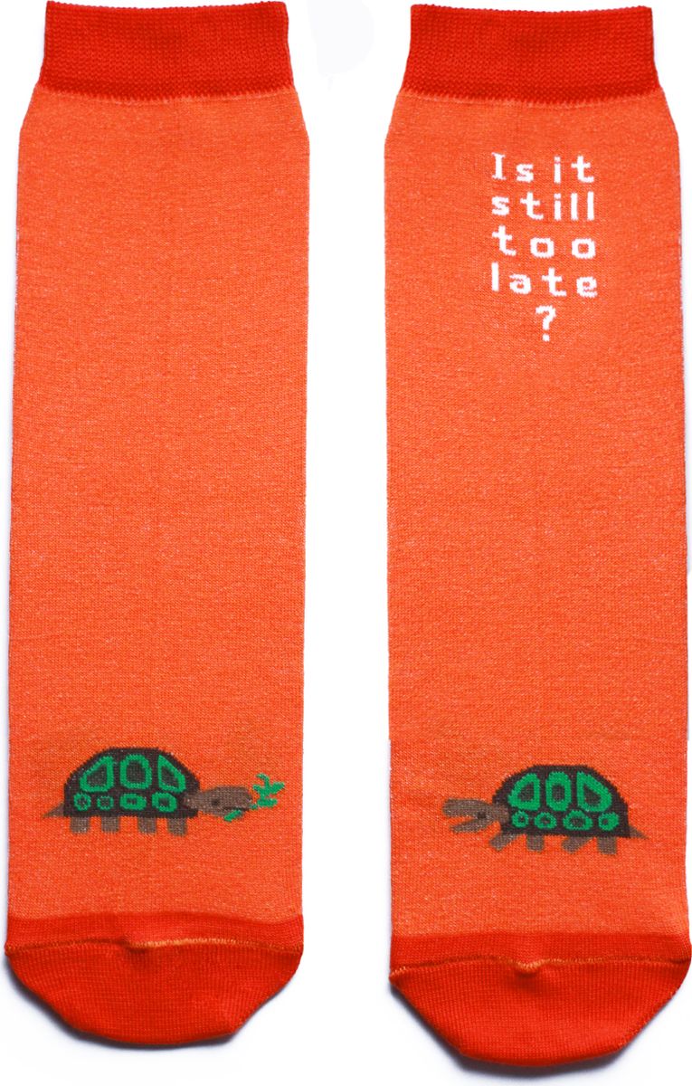 Носки детские Big Bang Socks, цвет: оранжевый. ca1511. Размер 30/34ca1511 Носки детские Big Bang Socks, цвет: оранжевый. ca1511. Размер 30/34ca1511Яркие носки с несимметричным принтом черепашка и надписью is it still too late? (до сих пор слишком поздно?)