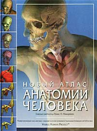 Книга "Новый атлас анатомии человека" Под редакцией Томаса Маккрекена, Ричарда Уолкера - купить на OZON.ru книгу New Atlas of Human Anatomy с быстрой доставкой по почте | 5-17-012340-X