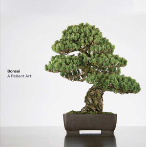 Купить Bonsai: A Patient Art в интернет-магазине OZON.ru