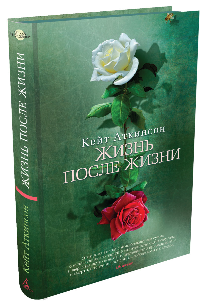 ЖИЗНЬ ПОСЛЕ ЖИЗНИ КЕЙТ АТКИНСОН СКАЧАТЬ БЕСПЛАТНО ЖИЗНЬ ПОСЛЕ ЖИЗНИ КЕЙТ АТКИНСОН СКАЧАТЬ БЕСПЛАТНО