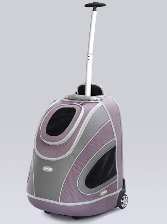 Поговорим о Кошках 24