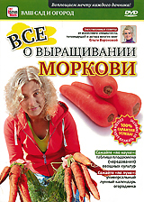 Все о выращивании моркови